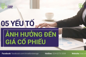  05 YẾU TỐ ẢNH HƯỞNG ĐẾN GIÁ CỔ PHIẾU